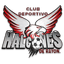 CD Halcones de Rayon