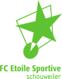 ईएस स्काउवीलर