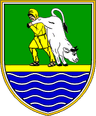 حايدينا