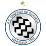 Mineros de Guayana