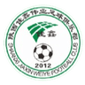 Shaanxi Jiaxin Weiye Football FC