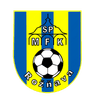 MFK روزنافا