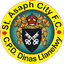 St Asaph City