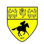 Newmarket Town