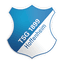 Hoffenheim U19
