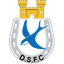 Dungannon Swifts Reserves