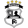 Zamora II