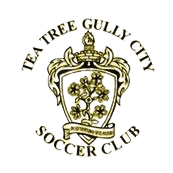 Tea Tree Gully City