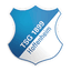 TSG 1899 هوفنهايم