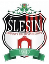 LKS Slesin