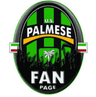 US Palmese U19