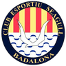 CE Seagull (w)