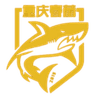 Chongqing Chunlei FC
