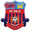 Dila Gori