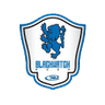 الهجوم الأسود