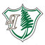جزيرة الشباب