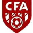 Lingwu No. 2 Middle School Women's Football Team U14