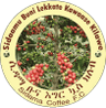 Sidama Bunna (W)
