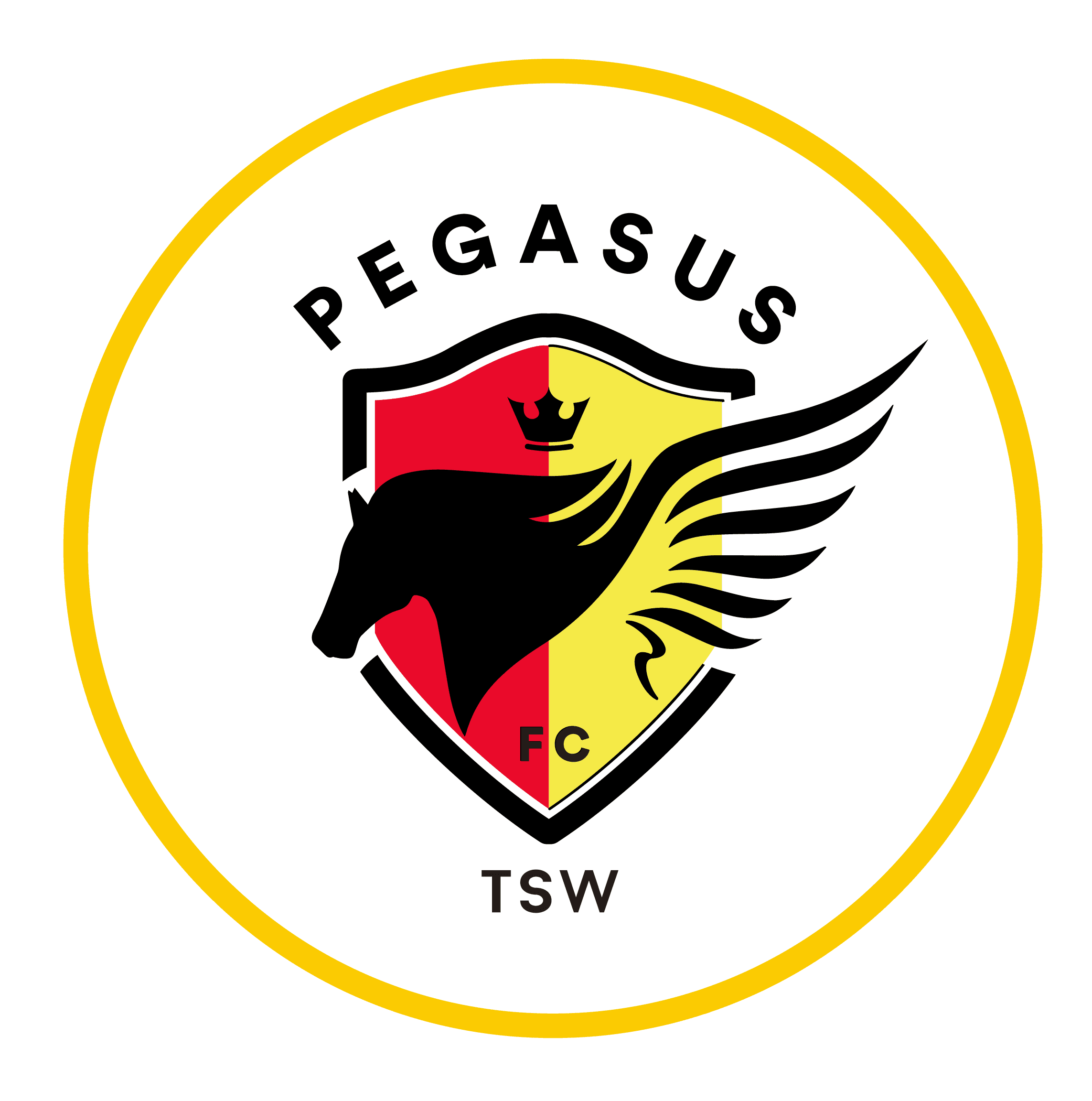 هونغ كونغ بيغاسوس