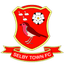 Selby Town