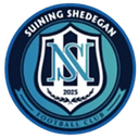 সুইনিং টিম