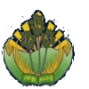Kampong Speu Province