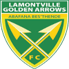 Golden Arrows Reserves