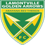 Golden Arrows Reserves