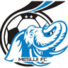 Mesuji FC
