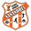 CS Sanandrei Timis