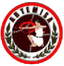 Artemisa FC