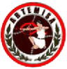Artemisa FC