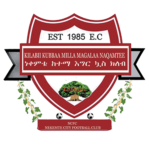 Nekemte Ketema