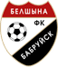 FC Belshina Babruisk