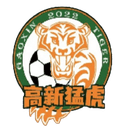 Chongqing Gaoxin Tiger
