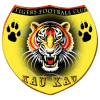 Mighty Tigers