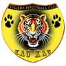 Mighty Tigers