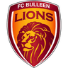 FC Bulleen Lions (w)