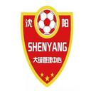 Shenyang Olympic Sports Center U15
