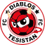 Diablos Tesistan FC