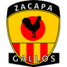 زاكابا