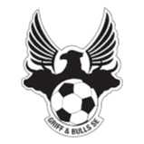 ग्रिफ बुल्स एसई यू19