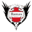 Llamas Kochi FC