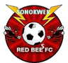 Red Bees