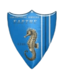 AO Sartis