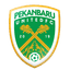 Pekanbaru FC
