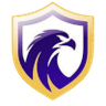 Falcon FC SE Youth
