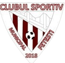 CSM Fetesti
