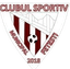 CSM Fetesti