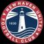 New Haven United FC
